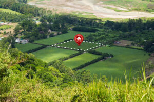 Imagem de ampla área verde, tendo ao centro marcação de terreno
